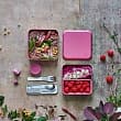 �������������� ����������� ����-���� �� 2 ����������� 850�� MONBENTO Square blush, �������