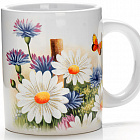 ����� ������ 300�� LORAINE ���� �������