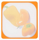   FRYBEST 26x26    Paprika, 
